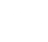 Vibe Festival Gear
